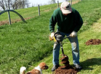 Silvopasture Project - Auger used for planting, Misty Oaks Farm