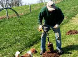 Silvopasture Project - Auger used for planting, Misty Oaks Farm